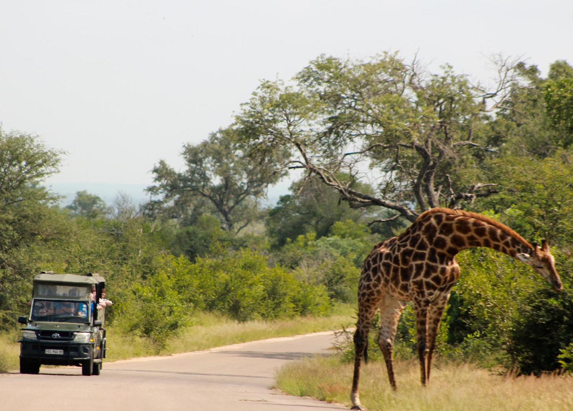 Aha Skukuza Safari Lodge Exteriör bild
