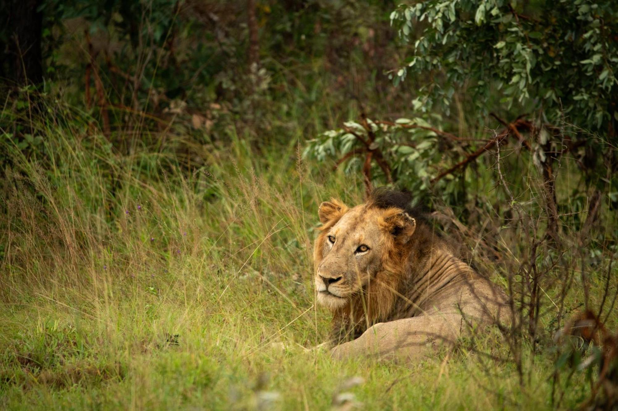 Aha Skukuza Safari Lodge Exteriör bild
