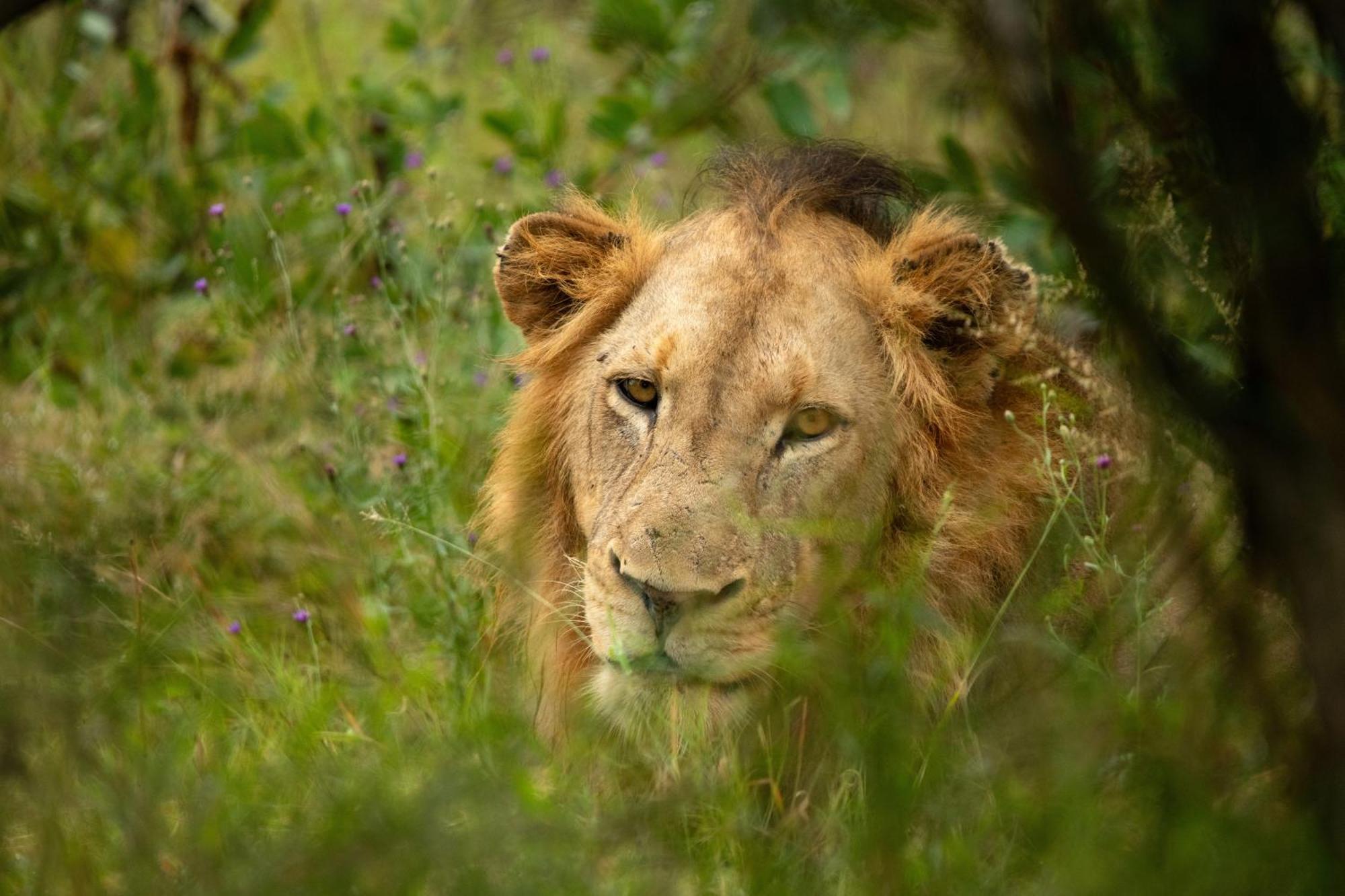 Aha Skukuza Safari Lodge Exteriör bild
